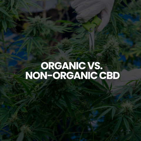 Organic vs. Non-Organic CBD